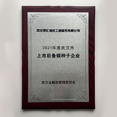 博汇油服荣获2021年度武汉市江汉区上市后备“银种子“企业