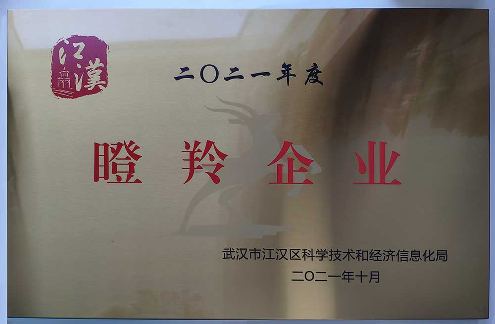 二〇二一年度瞪羚企业-1000.jpg