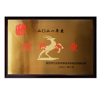 2021年度武汉市江汉区瞪羚企业
