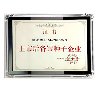 湖北省2024年~2025年上市后备银种子企业